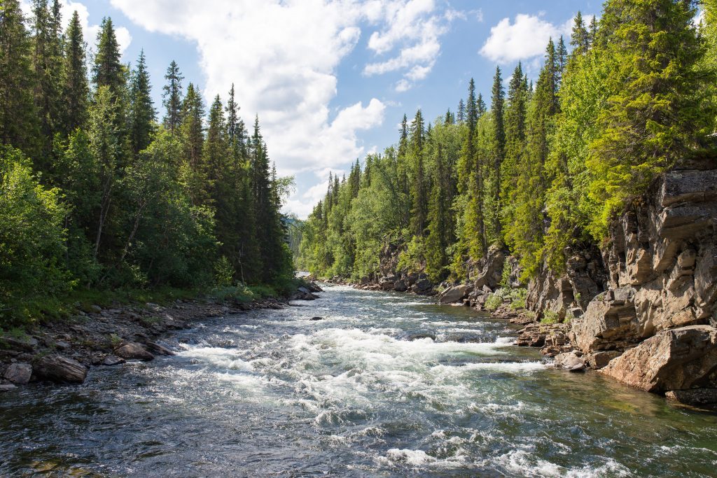 The Top River Destinations in the USA